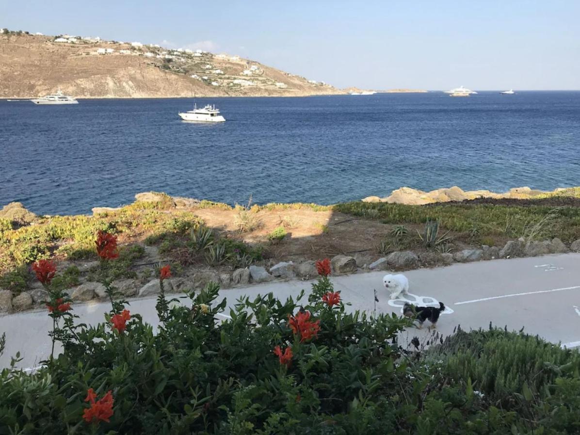 Apollon House On The Sea 度假居 Mykonos Town