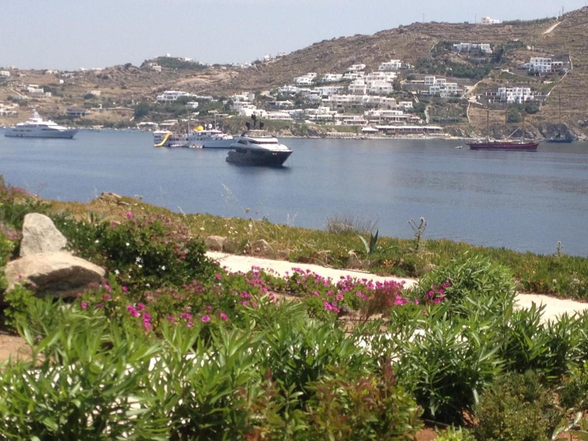 Apollon House On The Sea
